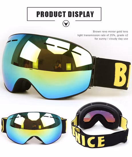 Easy Change Dural Lens Qualified Ski Lens Goggles TPU Frame Priate Logo Strap