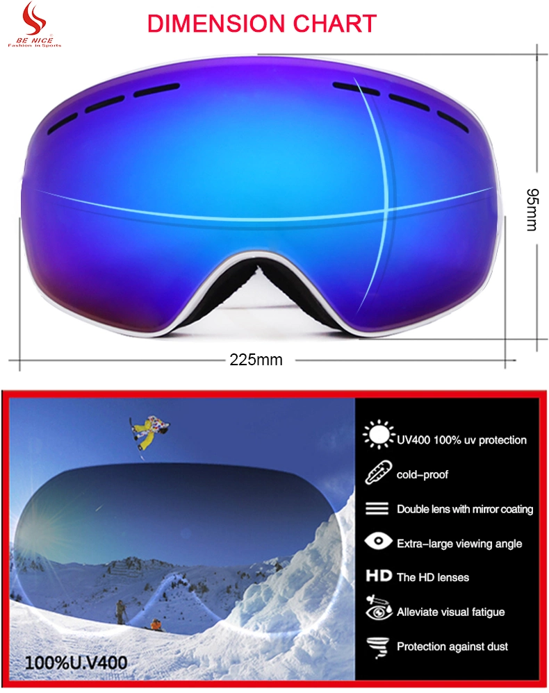Easy Change Dural Lens Qualified Ski Lens Goggles TPU Frame Priate Logo Strap